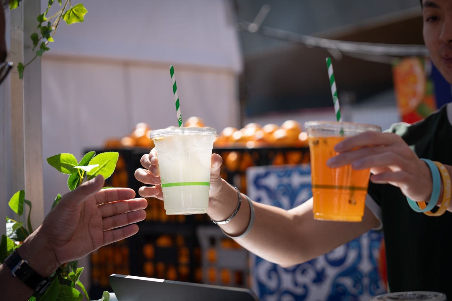 Drinks poured for guests at the Italian Festa