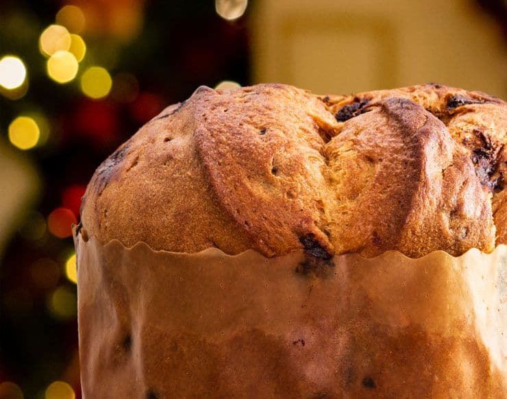 Golden panettone baked bread with festive bokeh lights background